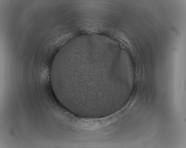 X0000115230029200911131653