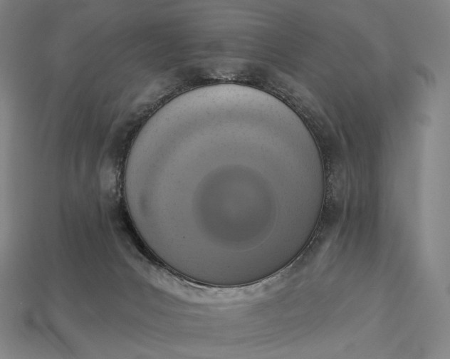 X0000115230031200911131653