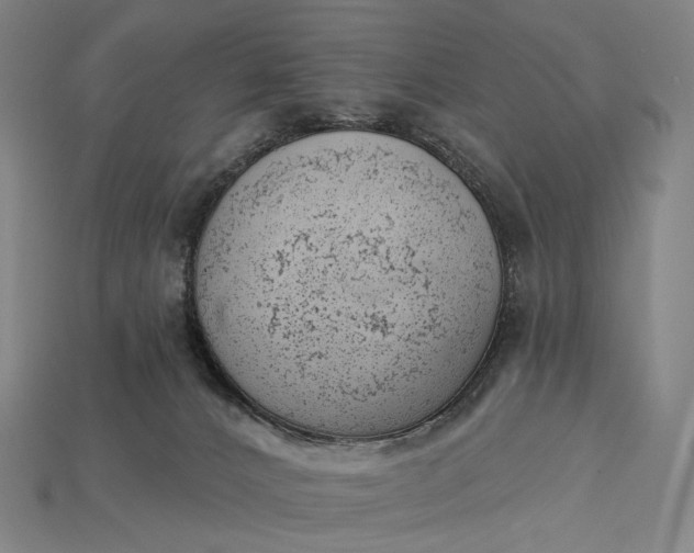 X0000115230032200911131653