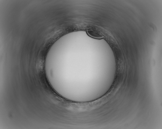 X0000115230033200911131653