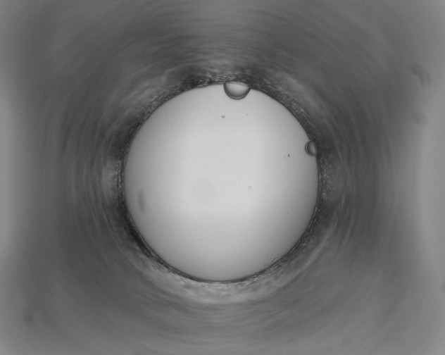 X0000115230034200911131652