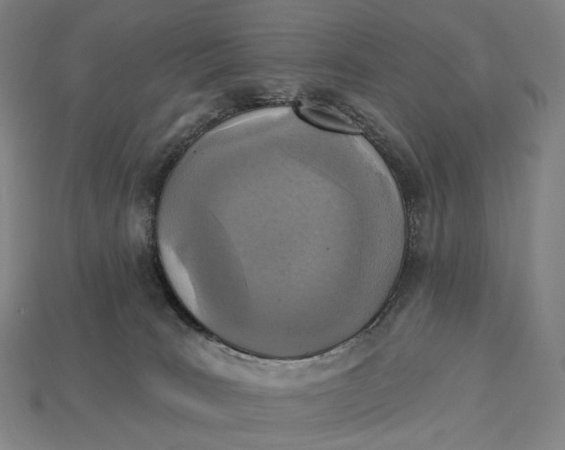 X0000115230035200911131652