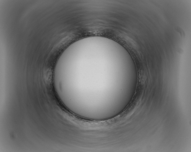 X0000115230036200911131652