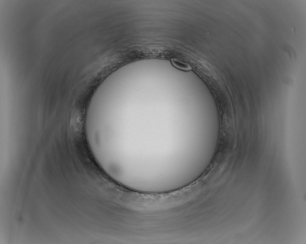 X0000115230037200911131652