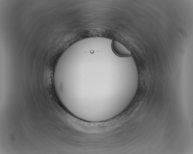 X0000115230038200911131652