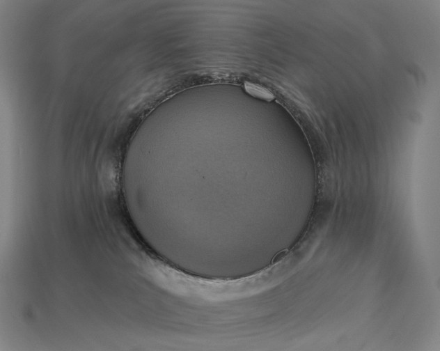 X0000115230039200911131652