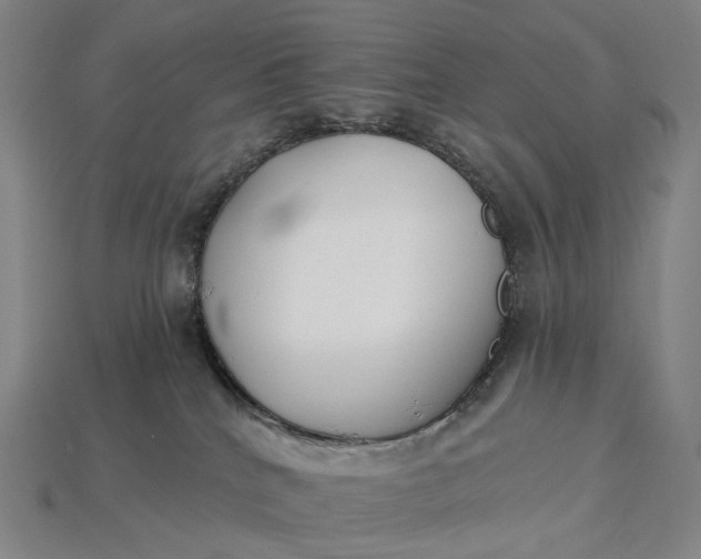 X0000115230040200911131652