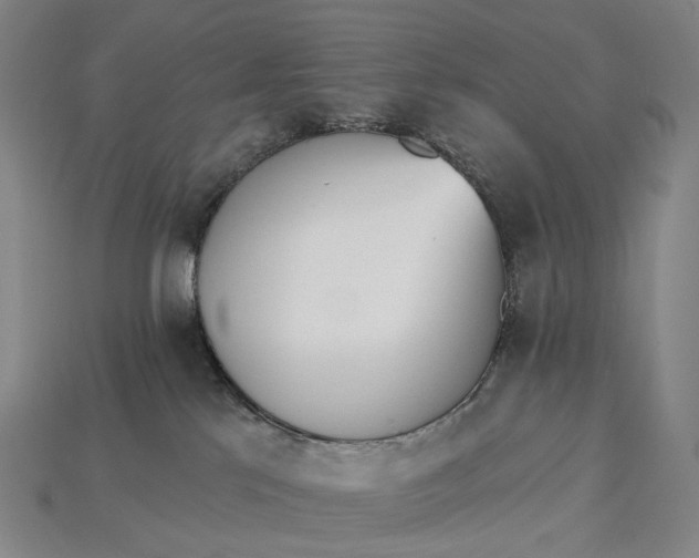 X0000115230041200911131652