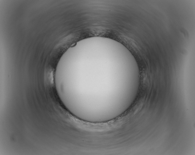 X0000115230042200911131652