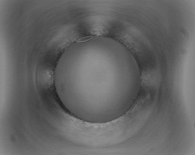 X0000115230043200911131652