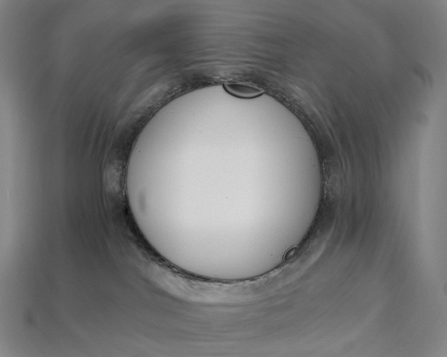 X0000115230044200911131652