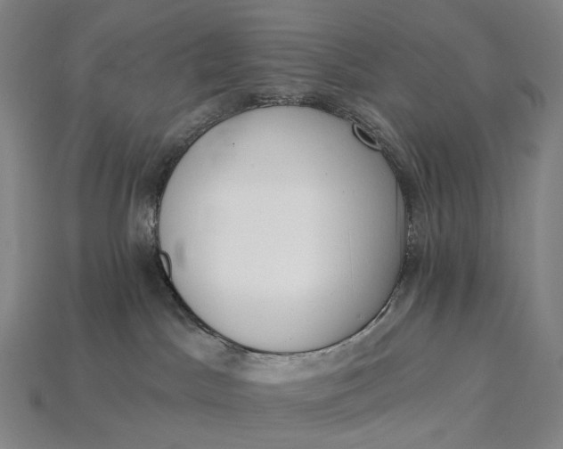 X0000115230045200911131652