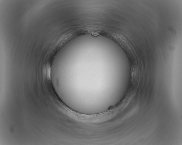 X0000115230046200911131652