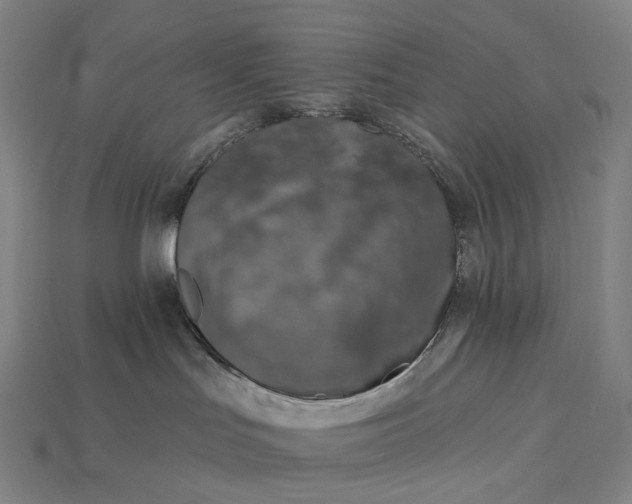 X0000115230047200911131652