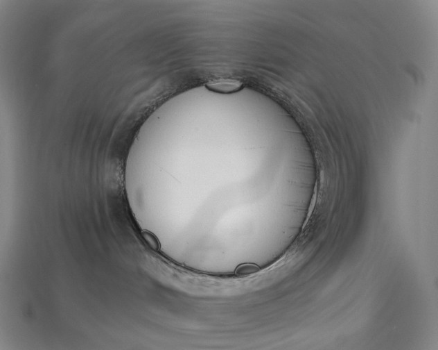 X0000115230048200911131652