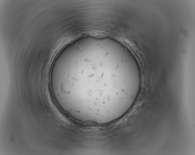 X0000115230049200911131652