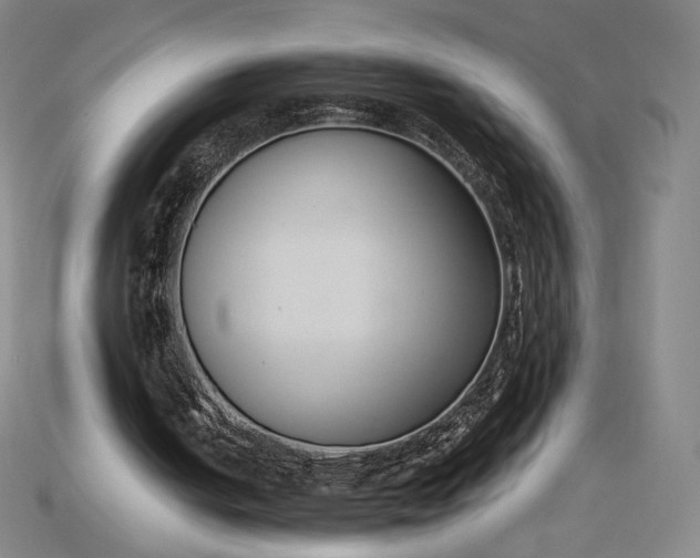 X0000115230050200911131652