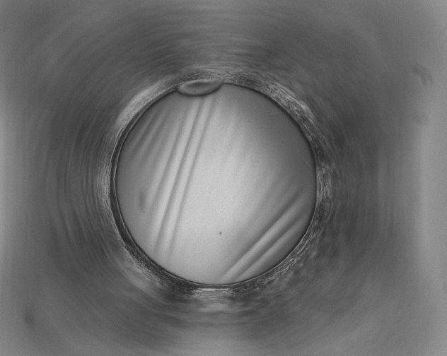 X0000115230051200911131652