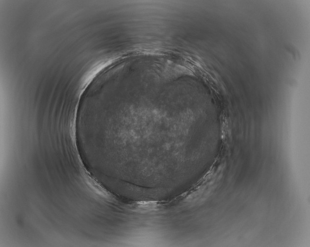 X0000115230052200911131652