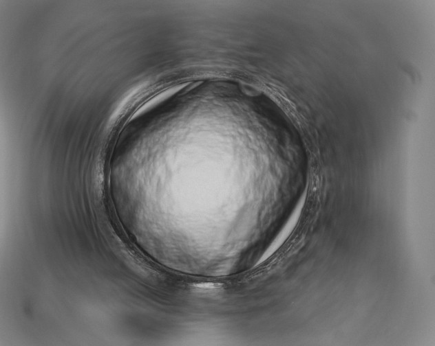 X0000115230053200911131652