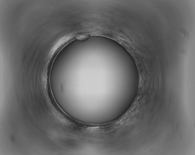 X0000115230054200911131652