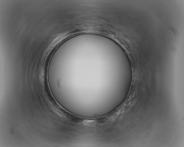 X0000115230055200911131652