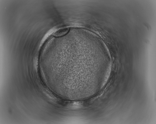 X0000115230056200911131652