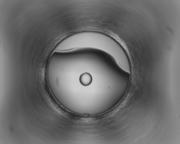 X0000115230057200911131652