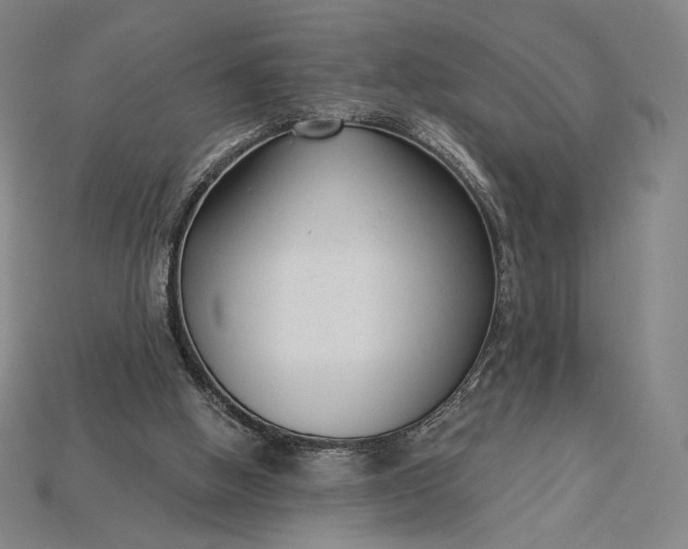 X0000115230058200911131652