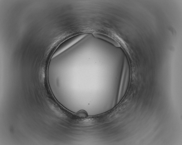 X0000115230059200911131652