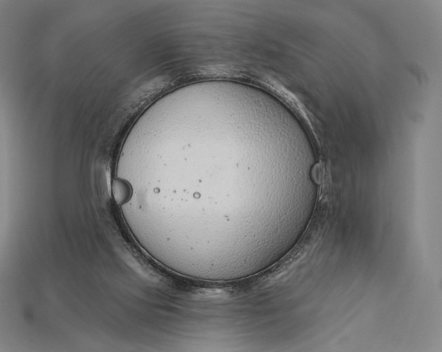 X0000115230061200911131652