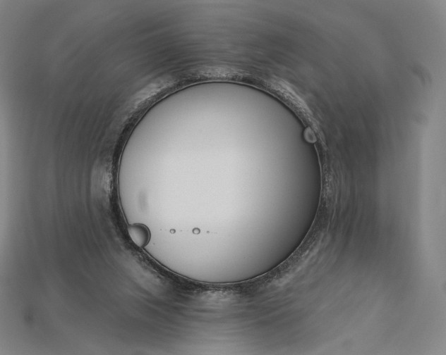 X0000115230063200911131652