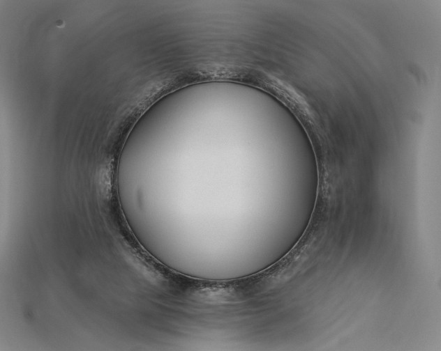 X0000115230065200911131652