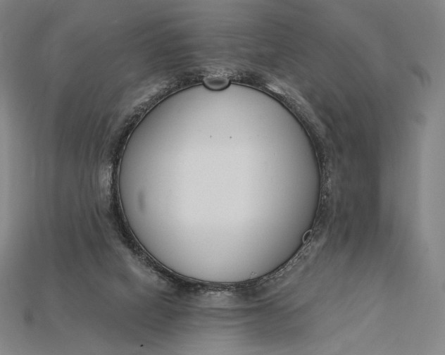 X0000115230066200911131652