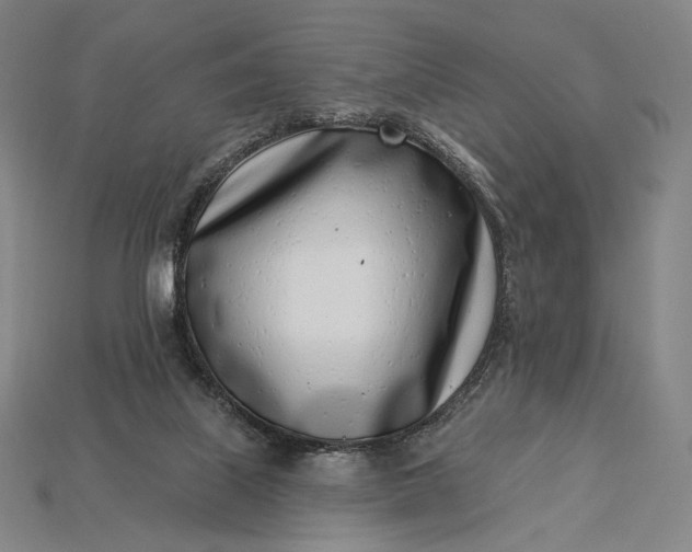 X0000115230067200911131652