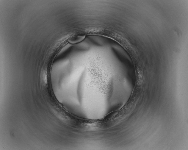 X0000115230068200911131652