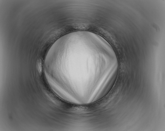 X0000115230069200911131652