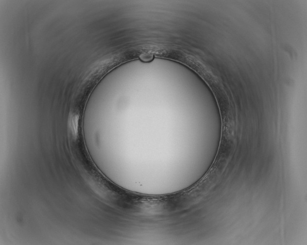 X0000115230070200911131652