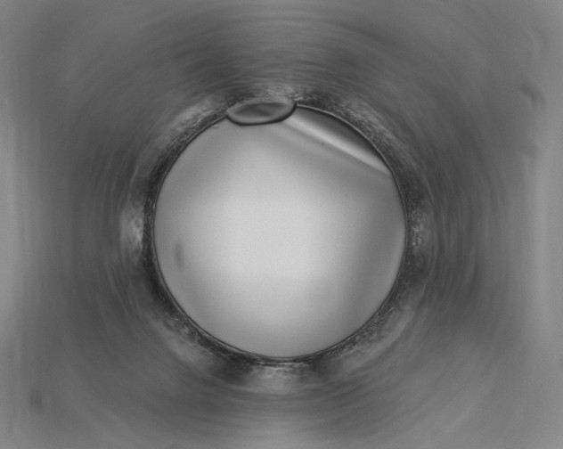 X0000115230072200911131652