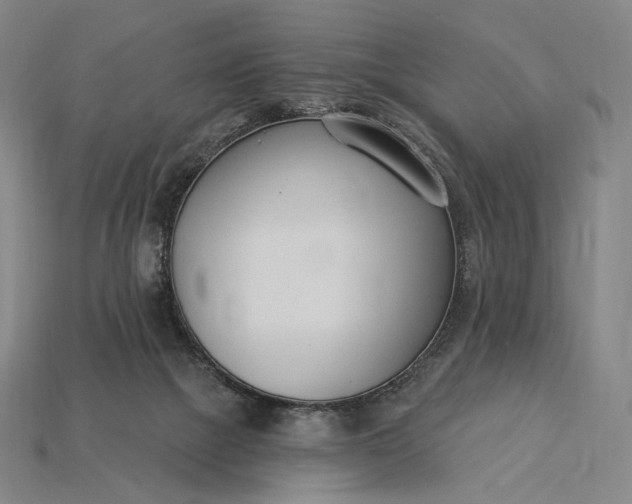 X0000115230073200911131652