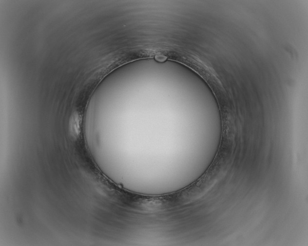 X0000115230075200911131652