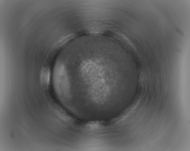 X0000115230076200911131652