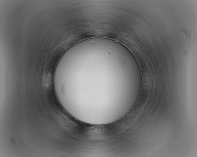 X0000115230077200911131652