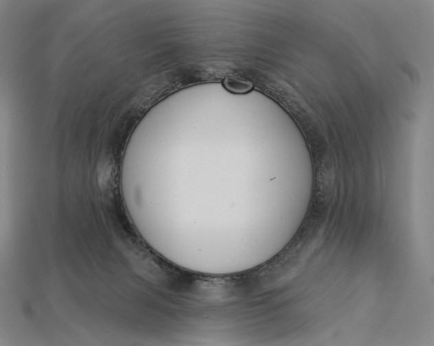 X0000115230079200911131652