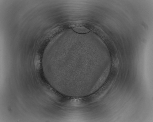 X0000115230080200911131652