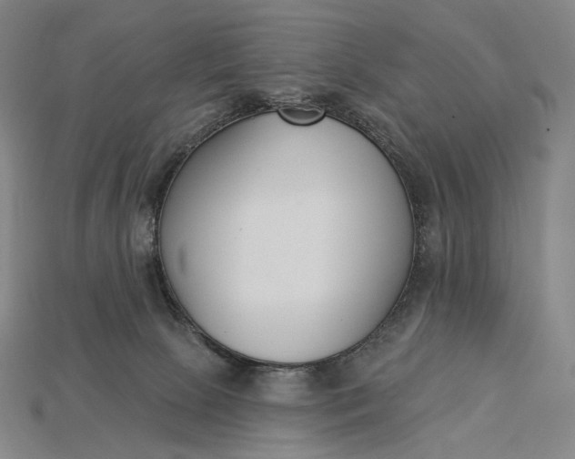 X0000115230081200911131652