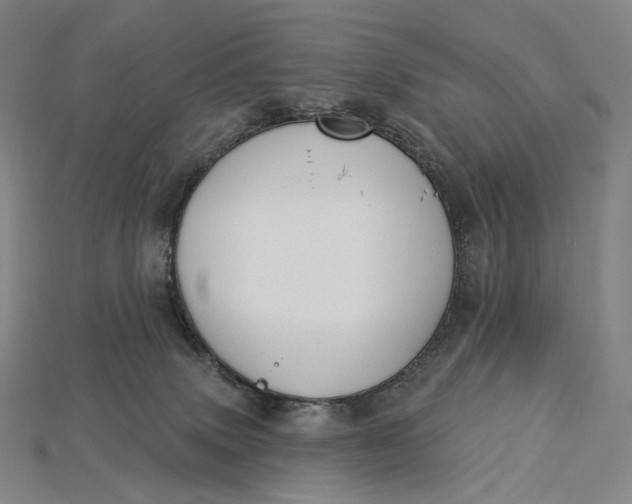 X0000115230083200911131652