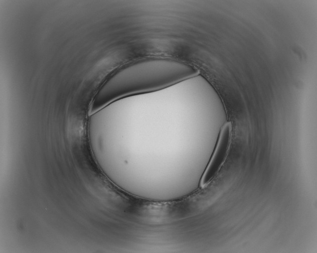 X0000115230084200911131652