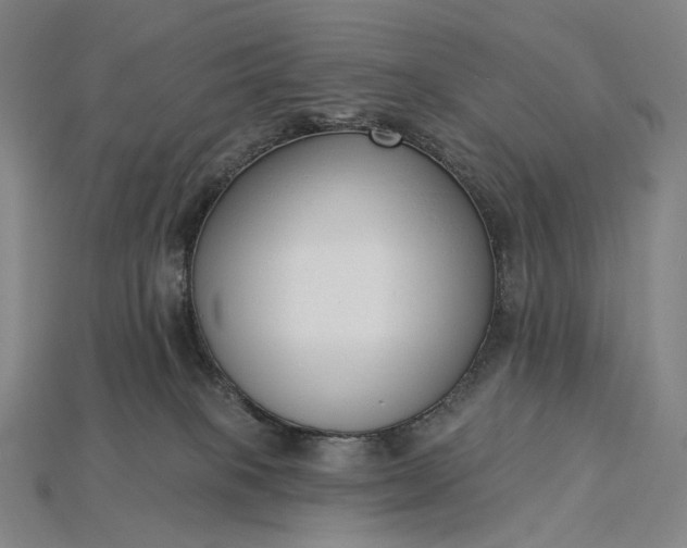 X0000115230085200911131652