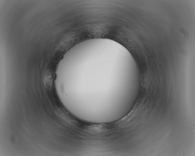 X0000115230086200911131652